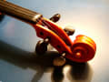 [16]violin001-thumbnail2.jpg