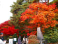 久保田一竹美術館の紅葉