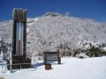 Ryuの花便り．．．鶴見岳の霧氷