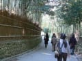 嵯峨野の竹林と野宮神社