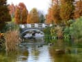 草津市立水生植物公園みずの森　 2010