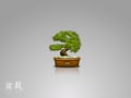 [98]bonsai_wall1.png