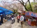 2012年4月　中山法華経寺骨董市