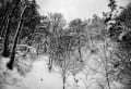 yotutiの写真日記…雪の朝里・定山渓、其の2