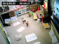 令和元年５月１日　お泊まり犬ライブ画像