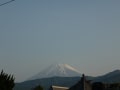 朝の散歩（富士山、駿河湾、花）