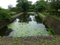 桜の名所　松前城