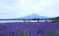 山梨県　富士山と山中湖・河口湖・精進湖・本栖湖