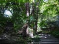 瑞泉寺（鎌倉 金沢街道）