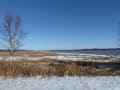 [15]Hopewell Rocks