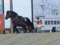 帯広ばんえい競馬　2017