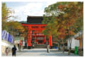 2011年11月京都旅行