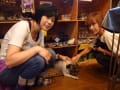 占い犬　お福ちゃん９（パグ）
