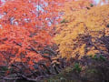 北海道道東の旅