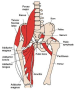 [5]naitenkin.jpg