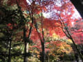 永源寺と湖東三山