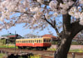 小湊鉄道　海土有木駅　（千葉県）