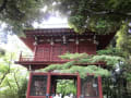 2013.06.16本土寺（あじさい寺）