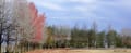 151120県民公園太閤山ランド　ふるさとギャラリー　と　秋晴れ散歩