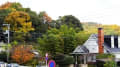 稲生神社　広島市東区