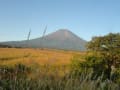 富士山　きのこ観察