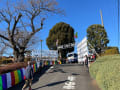 20250101 初詣－恐怖の餅まきーat 春秋苑