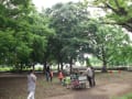 　　　　　　　　梅雨の晴れ間の駒沢公園