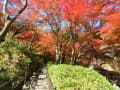 [19]紅葉2013　長谷寺