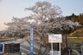 いわき市小川諏訪神社ライトアップ