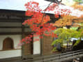 神峯山寺の紅葉