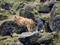 ベトナムを歩く・ルンカムチェ村（２）