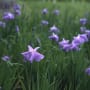 広島県立みよし公園