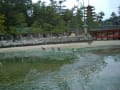 itsukushima