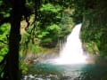 大滝温泉　天城荘♪