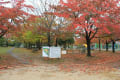 秋雨の庄境公園（彦根市）