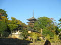 奈良公園周辺の２０１５年の風景