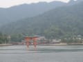 宮島　厳島神社から　岩国　錦帯橋へ