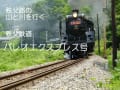 彩の国・秩父鉄道SL・パレオエクスプレスが走る