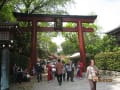 「根津神社」から「小石川植物園」