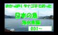 タナゴ竿で釣った魚　日本編　海水魚の部Ⅰ