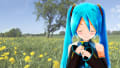 [25]第９回MMD杯_Dandelion