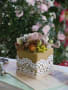 [43]20120525sweety arrangements 254.jpg