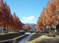 山口の散歩道