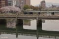 花とトラム（路面電車）のある風景　150402