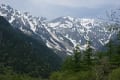 上高地の山と野草