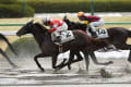 [4]2014/2/15 ３歳未勝利 ダ１８００ｍ 四位騎手