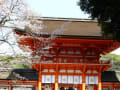 世界遺産（古都京都の文化財）　下鴨神社