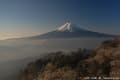 尾瀬沼と富士山