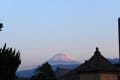 朝の散歩（１１月の駿河湾、富士山、日の出、植物）