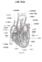 [10]心臓の断面(完).jpg